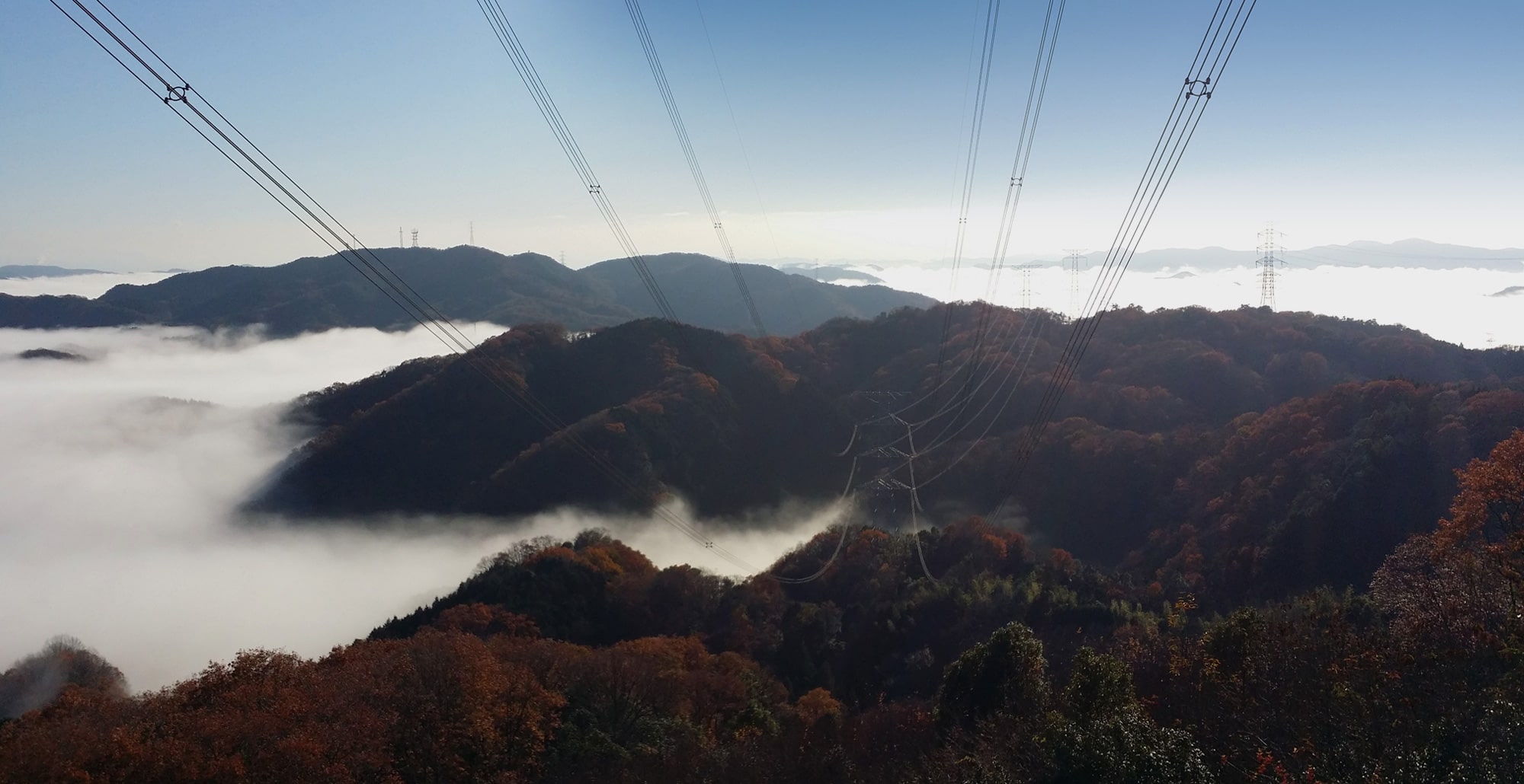 人と樹木の共生を支え、地域の暮らしを守る。