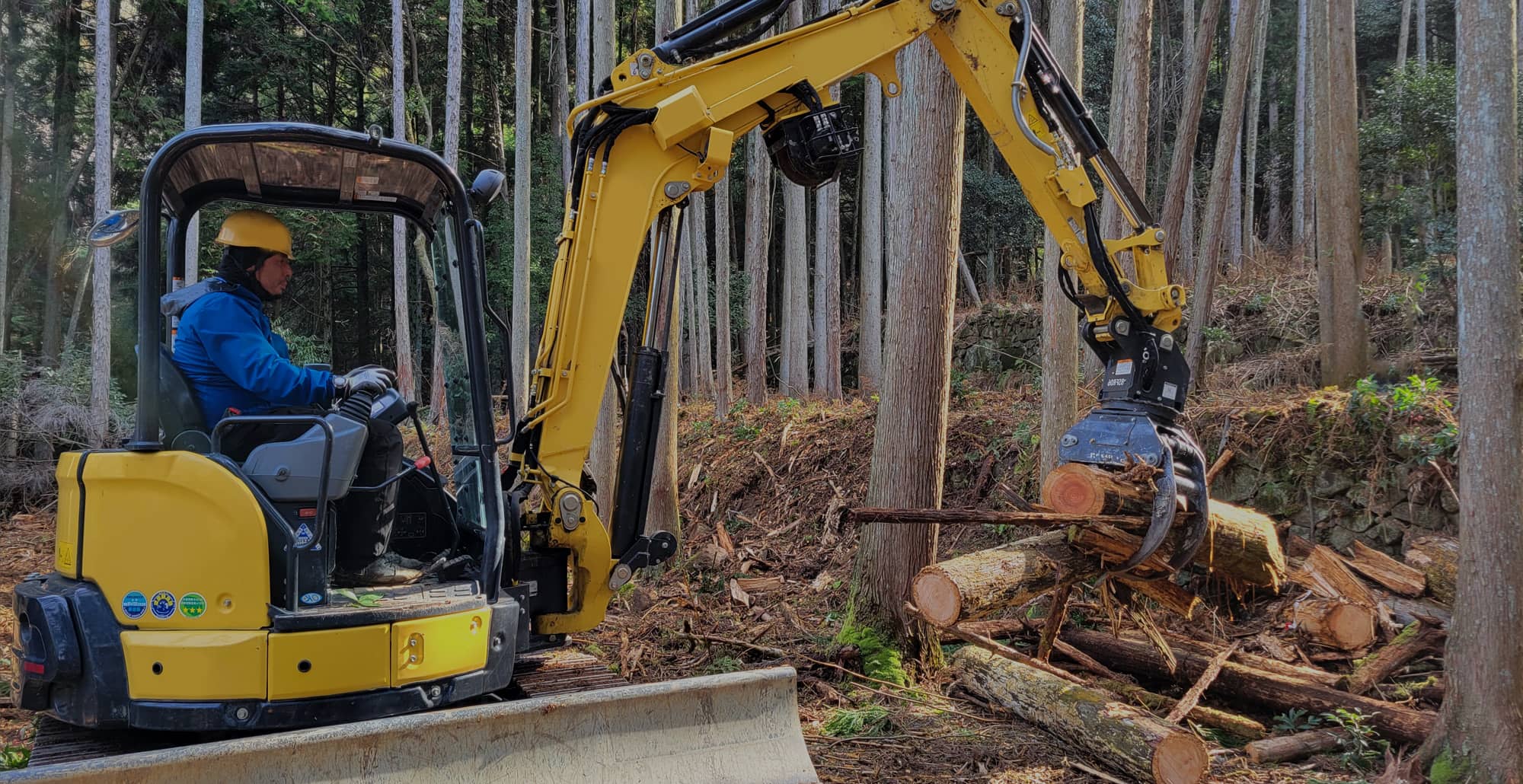 人と樹木の共生を支え、地域の暮らしを守る。