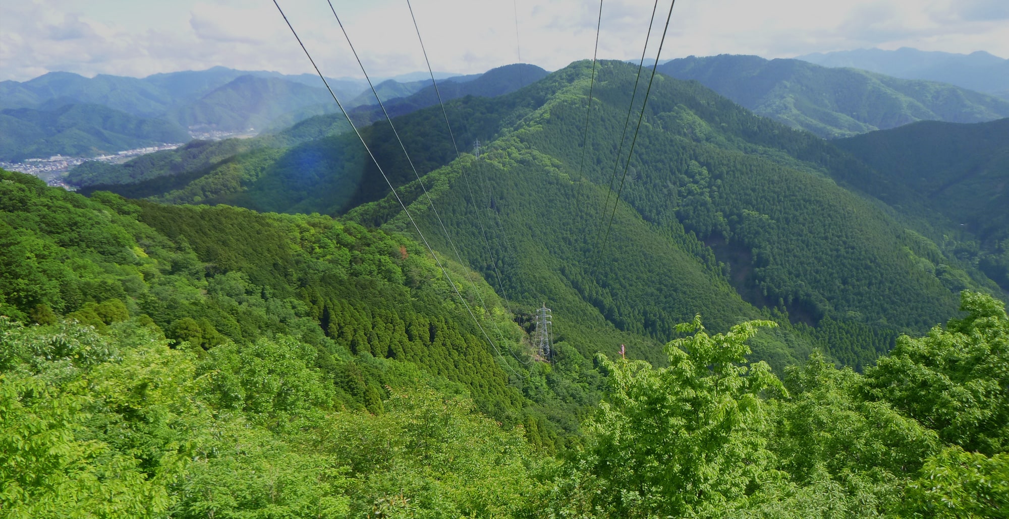 人と樹木の共生を支え、地域の暮らしを守る。